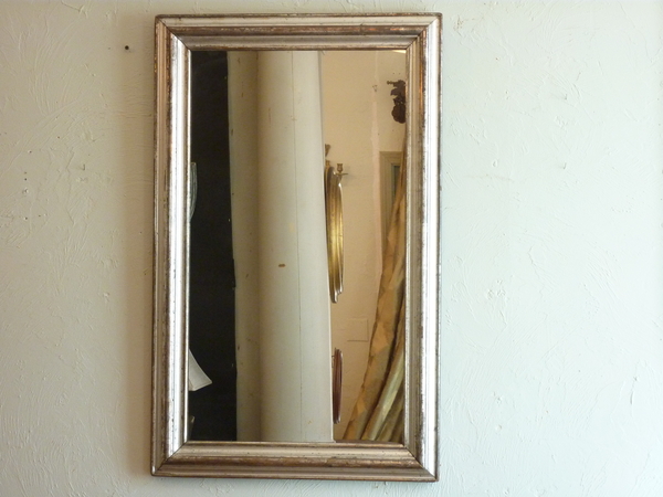 Silverleaf Mirror with Pewter tones