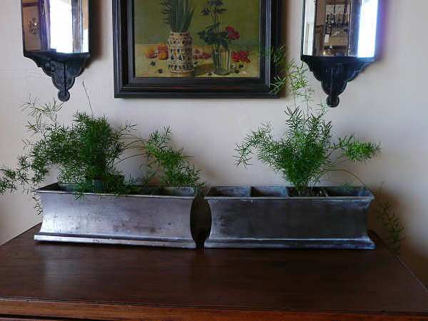20th Century Zinc Cachepots