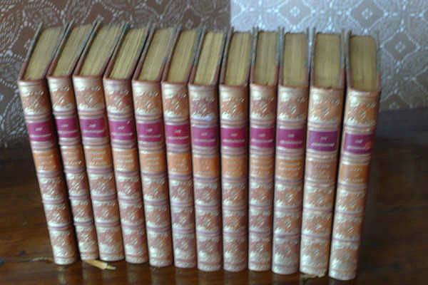 Les Provencals