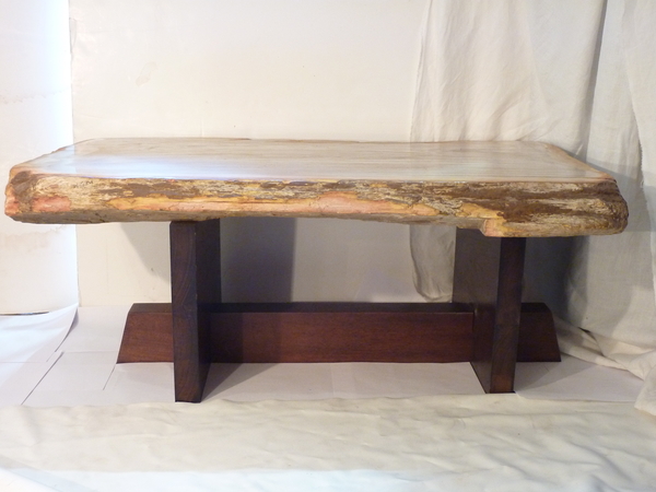 Petrified Wood Coffee Table