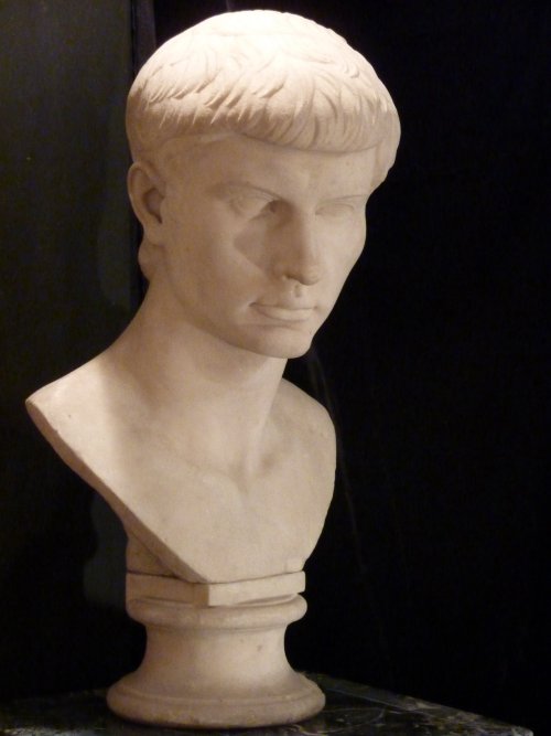 Grand Tour Neoclassical Marble Bust