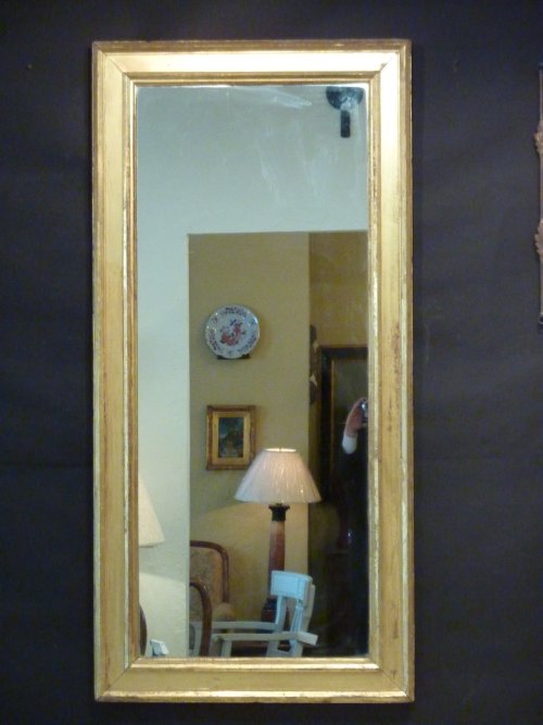 Giltwood 19th Century Elongated Mirror