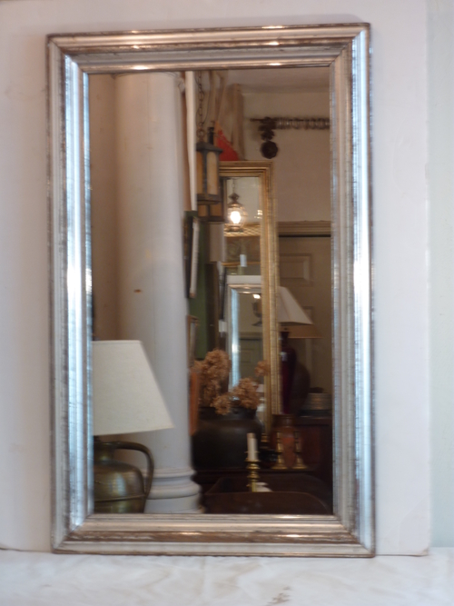 Elongated Silverleaf Mirror