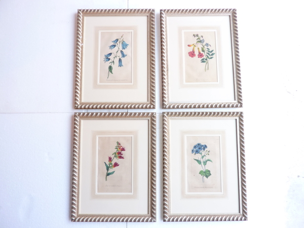 Collection Four Framed Floral Prints
