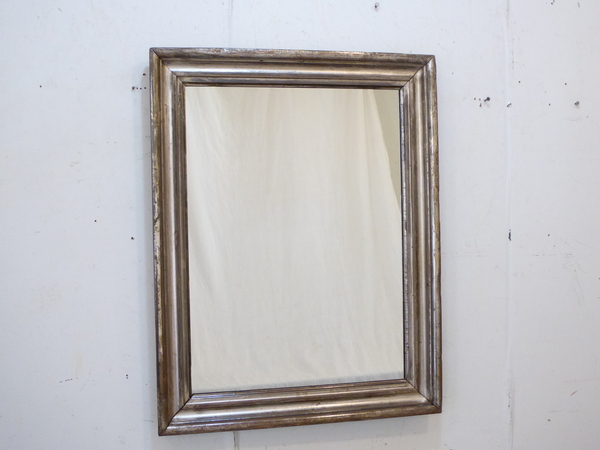 Silverleaf Mirror